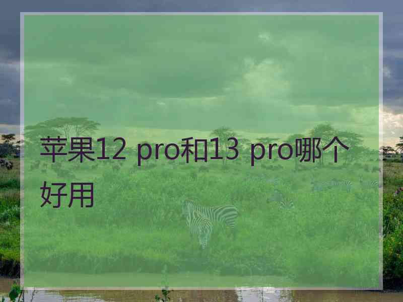 苹果12 pro和13 pro哪个好用