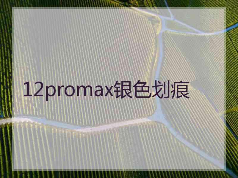 12promax银色划痕