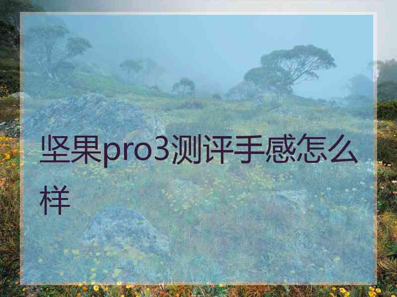 坚果pro3测评手感怎么样