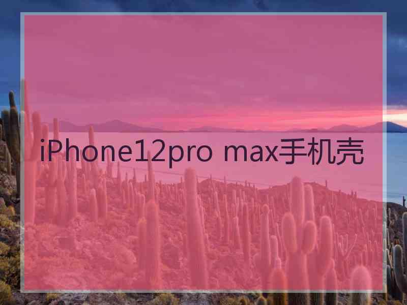 iPhone12pro max手机壳