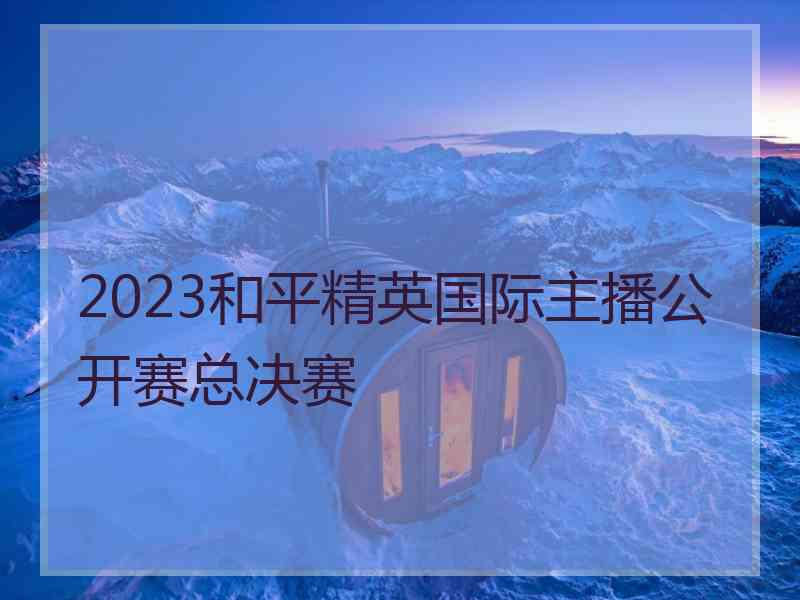 2023和平精英国际主播公开赛总决赛