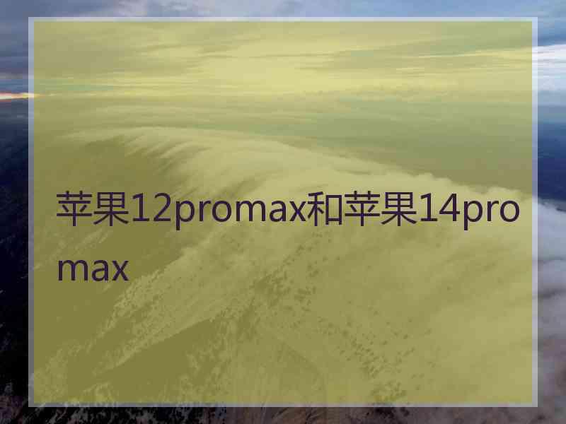 苹果12promax和苹果14promax