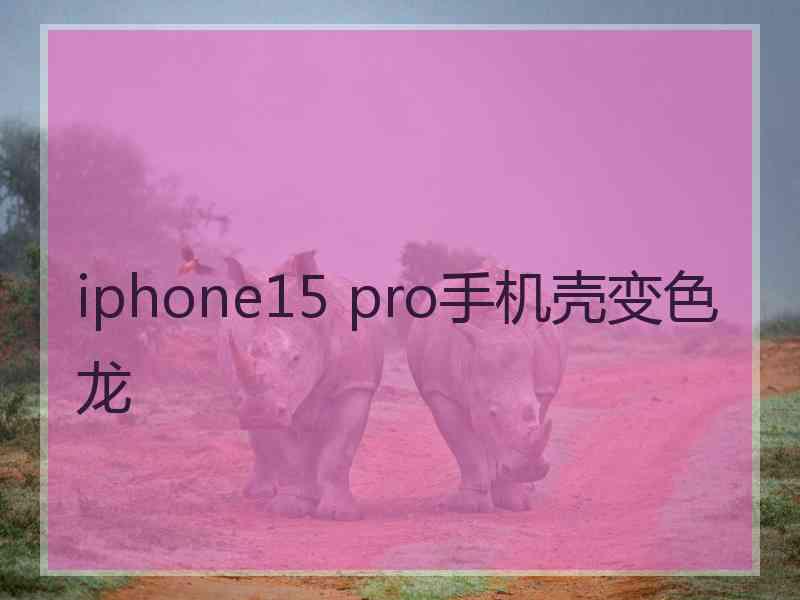 iphone15 pro手机壳变色龙