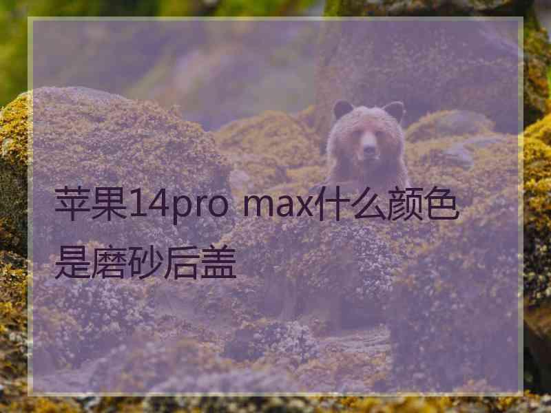 苹果14pro max什么颜色是磨砂后盖