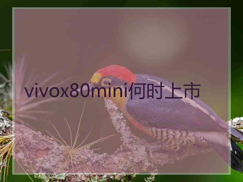 vivox80mini何时上市