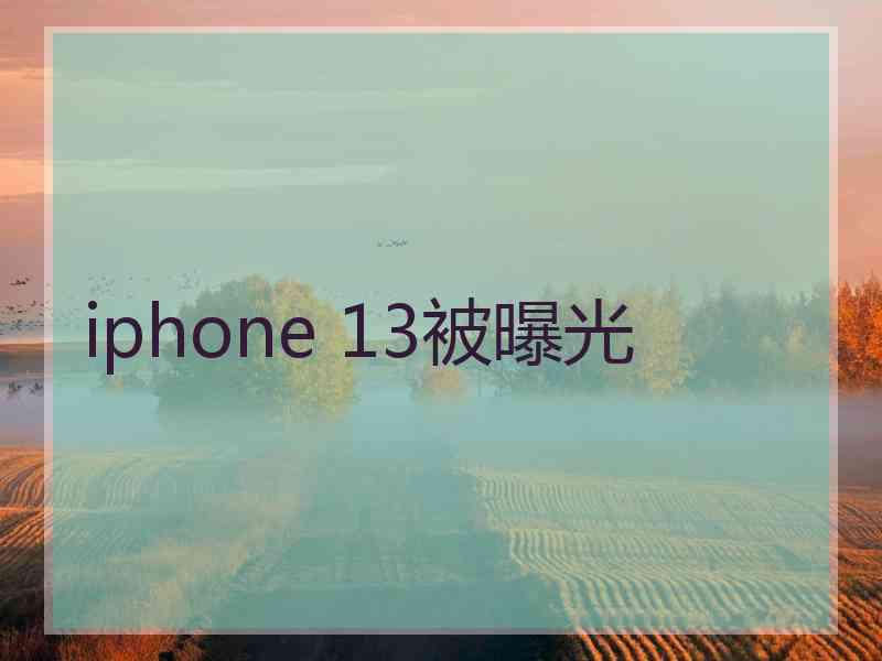 iphone 13被曝光