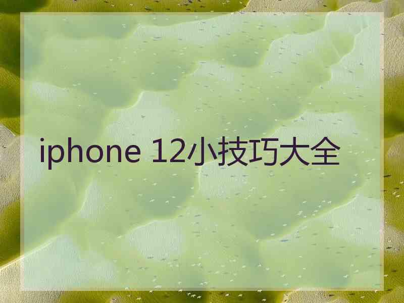 iphone 12小技巧大全