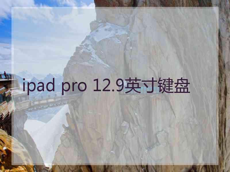 ipad pro 12.9英寸键盘