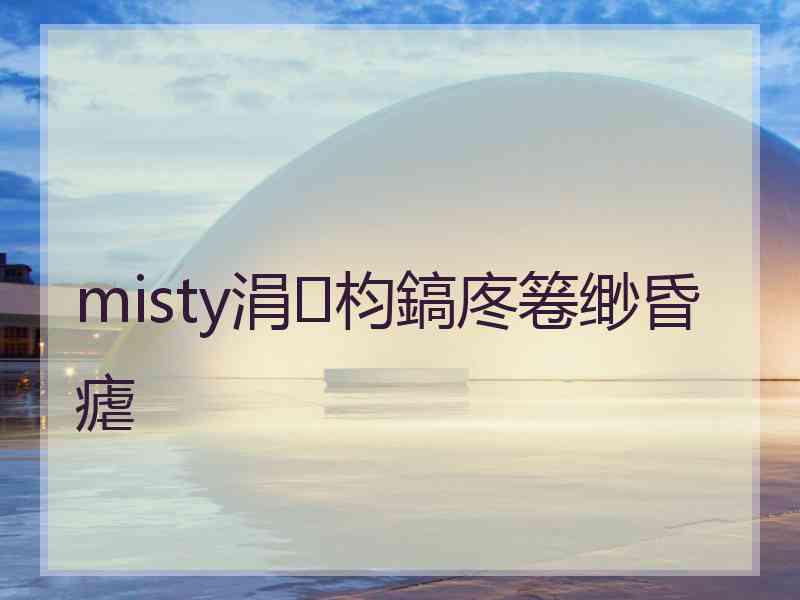 misty涓枃鎬庝箞缈昏瘧