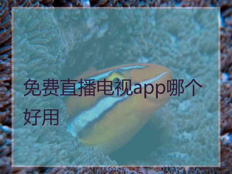 免费直播电视app哪个好用