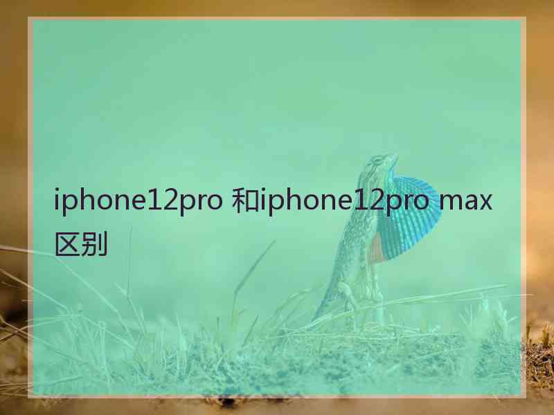 iphone12pro 和iphone12pro max区别