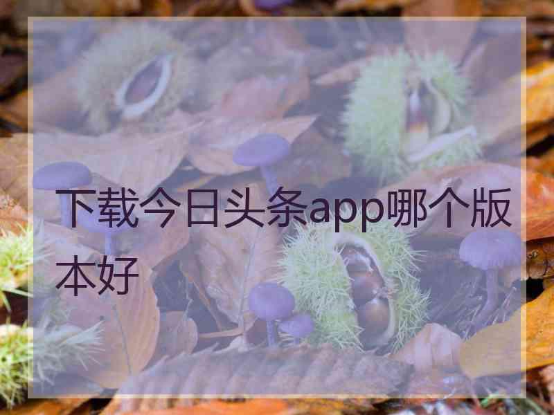 下载今日头条app哪个版本好