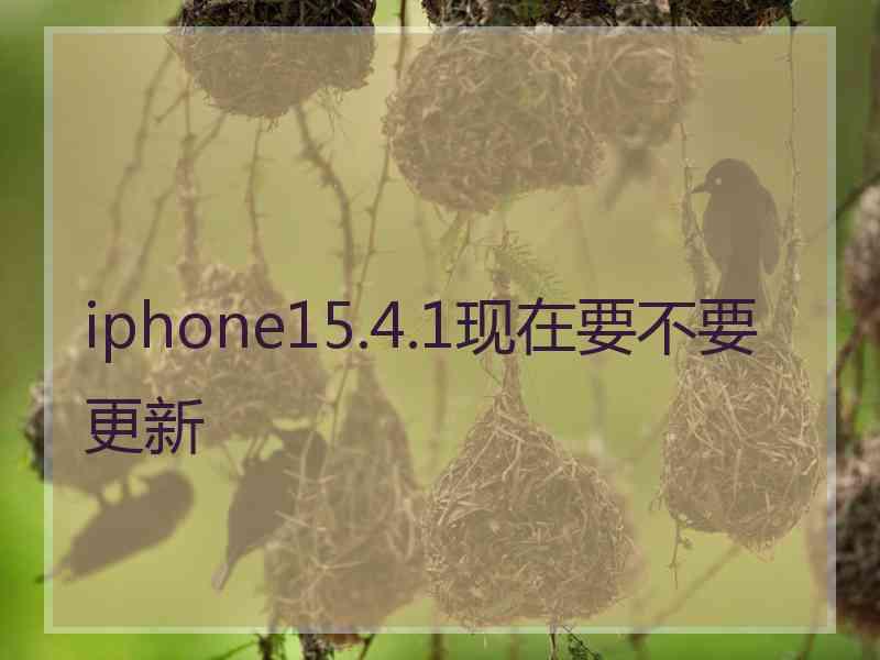 iphone15.4.1现在要不要更新