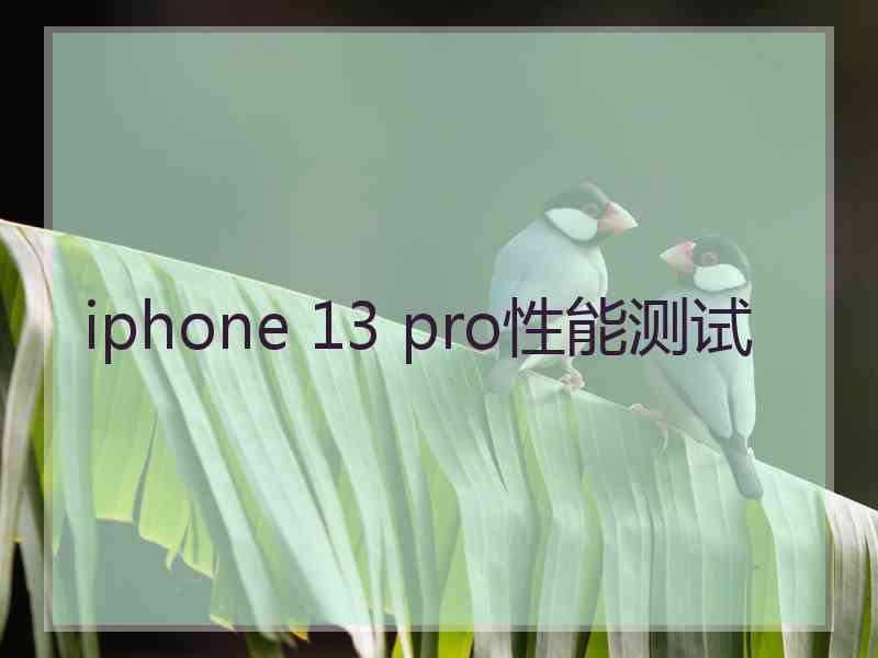 iphone 13 pro性能测试