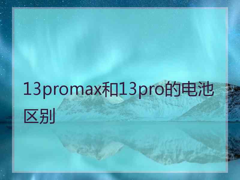 13promax和13pro的电池区别