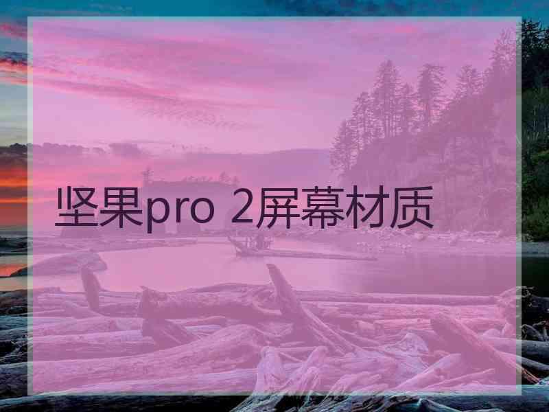 坚果pro 2屏幕材质