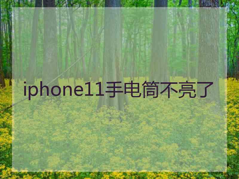 iphone11手电筒不亮了