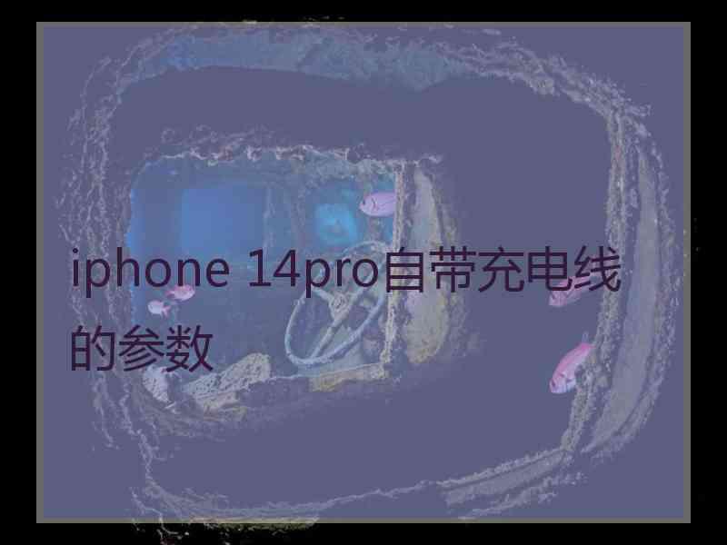 iphone 14pro自带充电线的参数