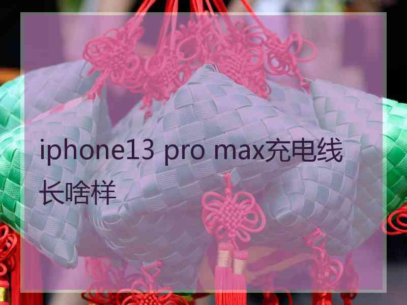 iphone13 pro max充电线长啥样