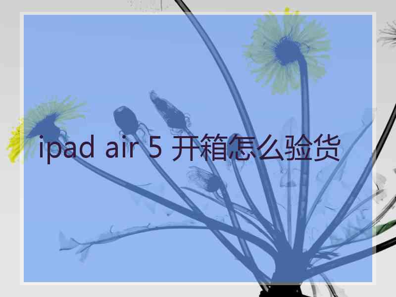 ipad air 5 开箱怎么验货