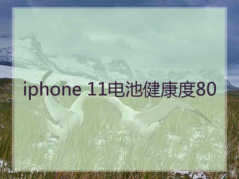 iphone 11电池健康度80