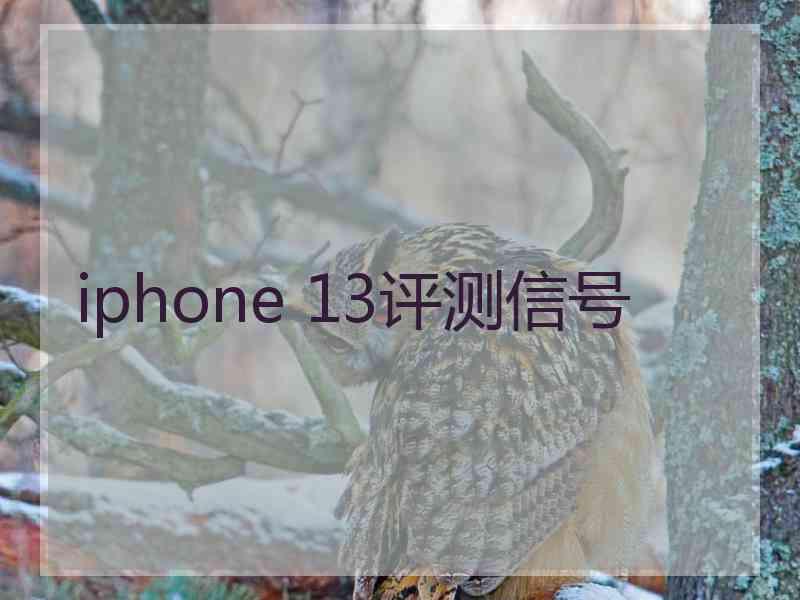 iphone 13评测信号