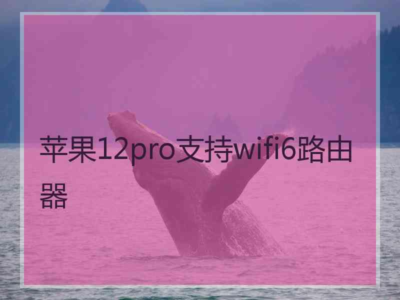 苹果12pro支持wifi6路由器