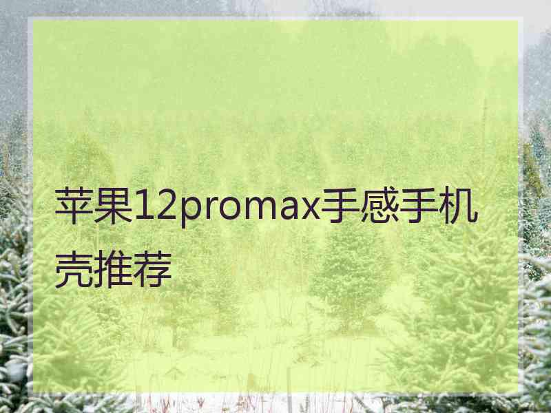 苹果12promax手感手机壳推荐