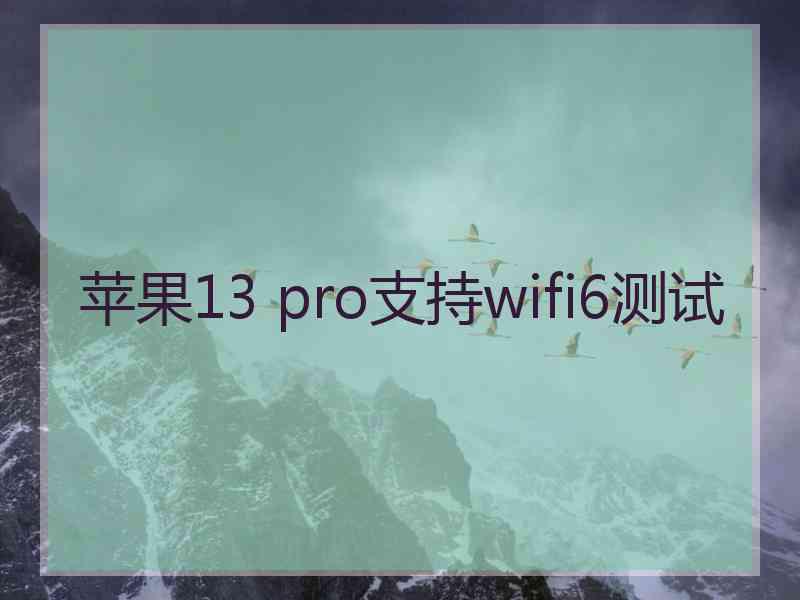 苹果13 pro支持wifi6测试