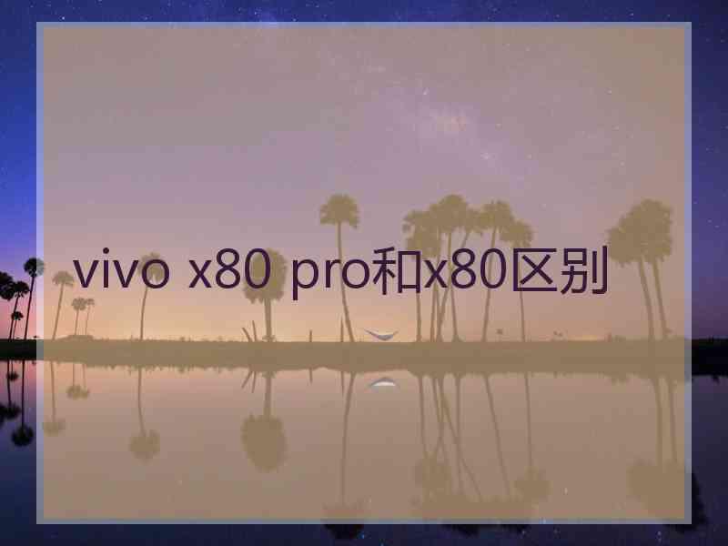 vivo x80 pro和x80区别