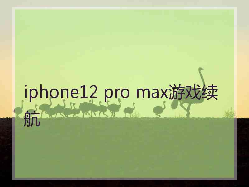 iphone12 pro max游戏续航