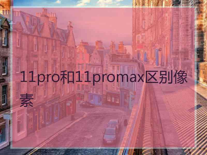 11pro和11promax区别像素