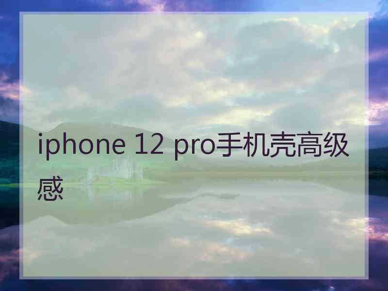 iphone 12 pro手机壳高级感