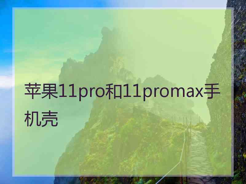 苹果11pro和11promax手机壳