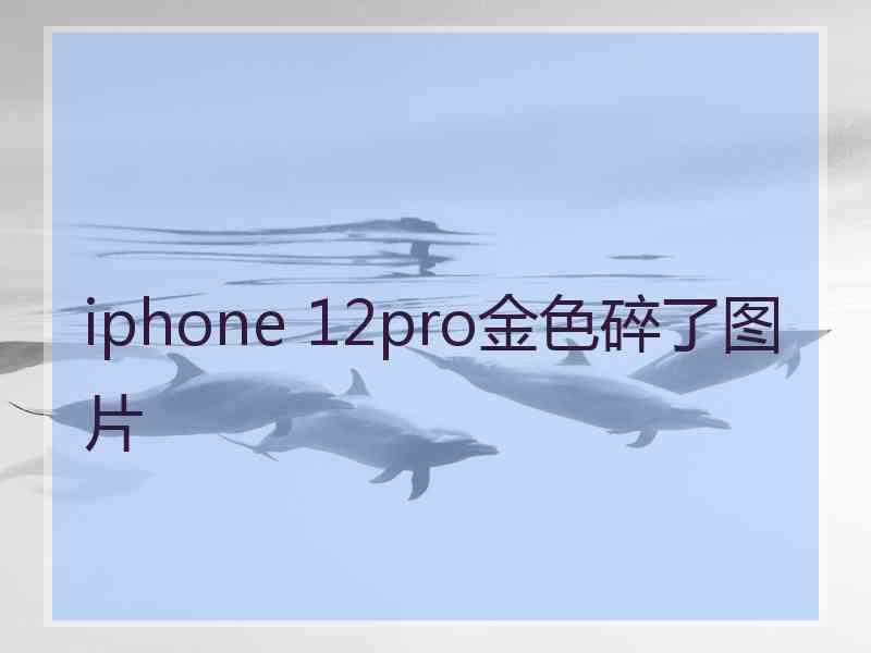 iphone 12pro金色碎了图片