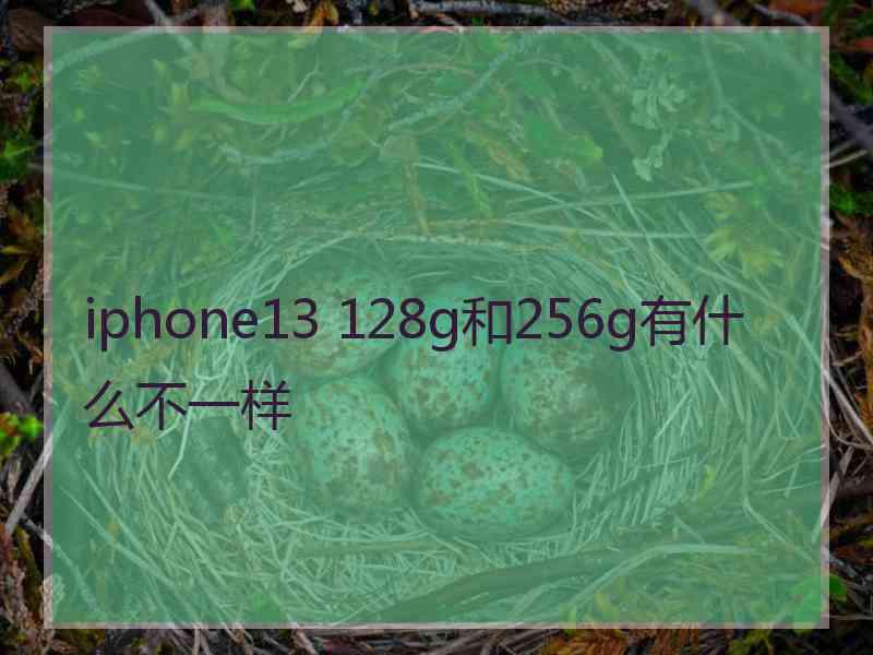 iphone13 128g和256g有什么不一样