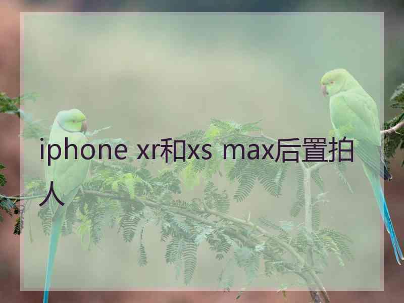 iphone xr和xs max后置拍人