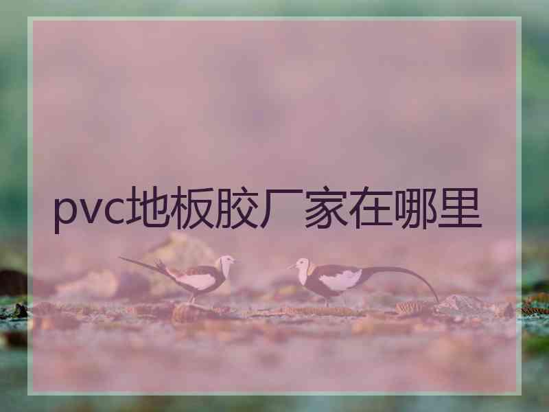 pvc地板胶厂家在哪里