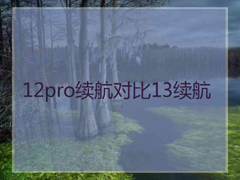 12pro续航对比13续航