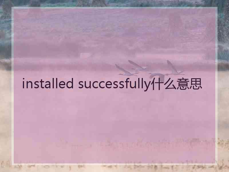 installed successfully什么意思