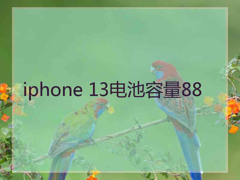 iphone 13电池容量88