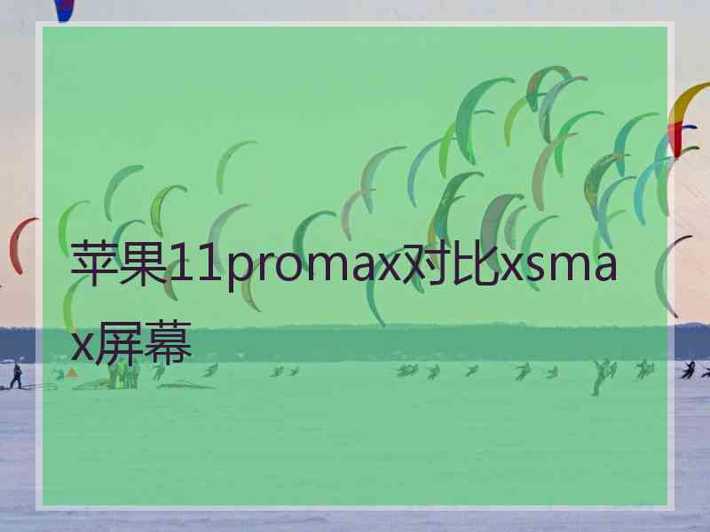 苹果11promax对比xsmax屏幕