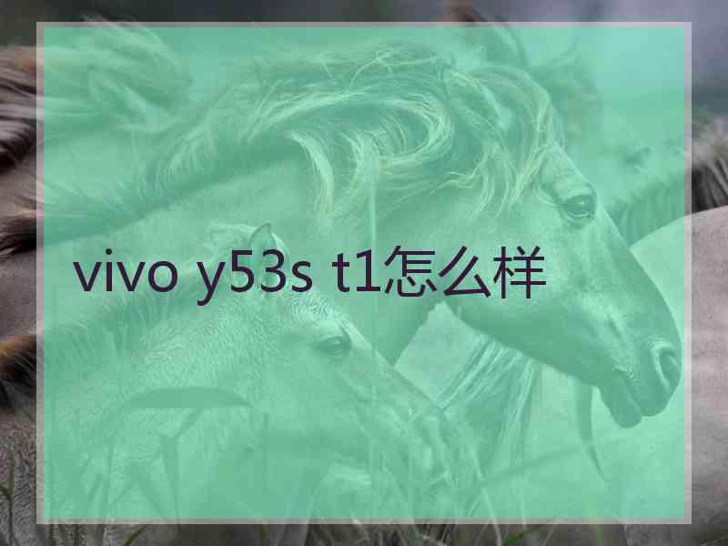 vivo y53s t1怎么样