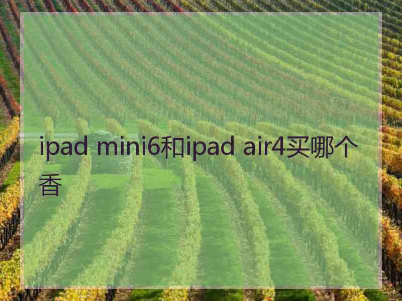 ipad mini6和ipad air4买哪个香