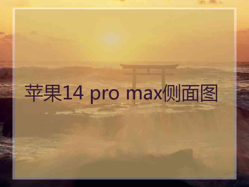 苹果14 pro max侧面图