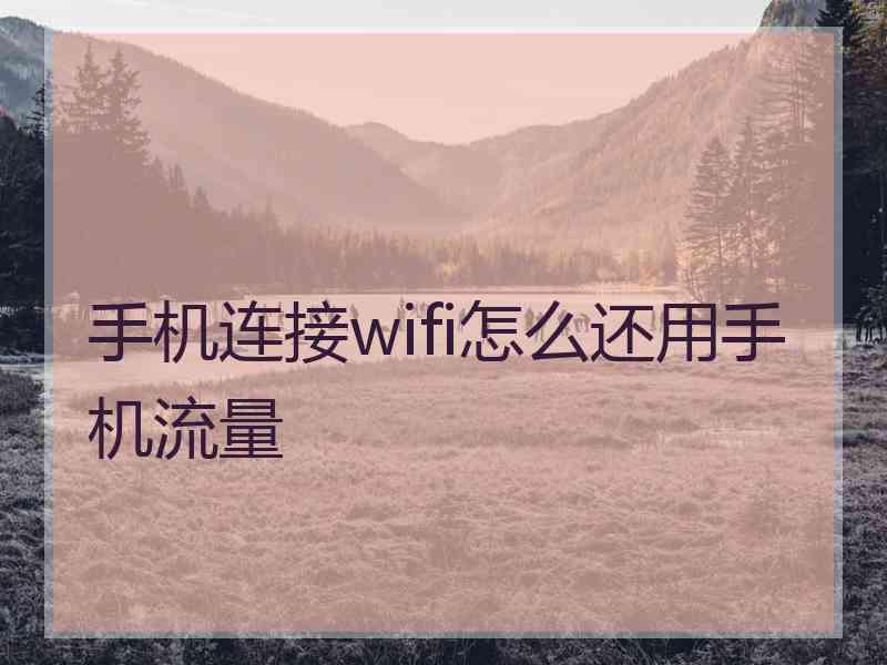 手机连接wifi怎么还用手机流量