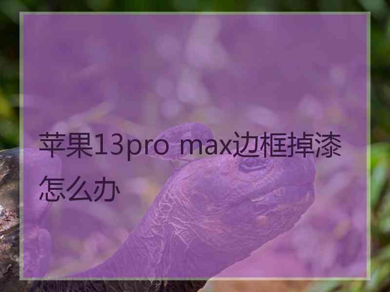 苹果13pro max边框掉漆怎么办