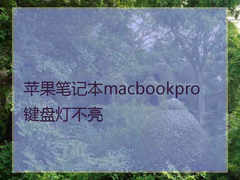 苹果笔记本macbookpro键盘灯不亮