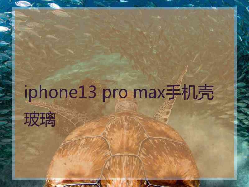 iphone13 pro max手机壳玻璃