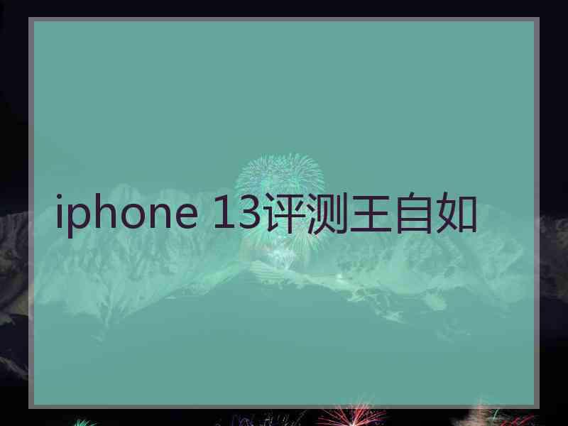 iphone 13评测王自如